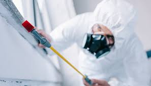 Best Commercial Pest Control  in Aspinwall, PA